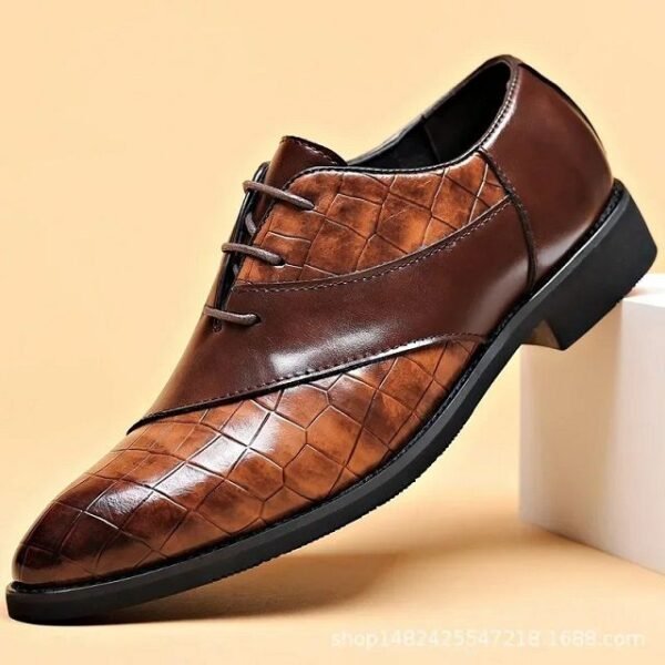 Chaussures en cuir de luxe pour homme (2)